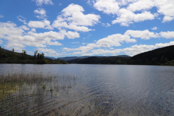 Investigación en Laguna Trinidad: La ciencia de la ULagos al servicio del territorio y la comunidad